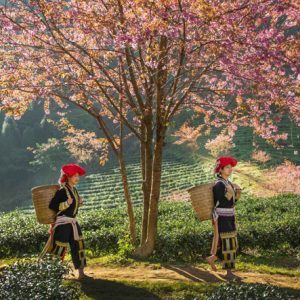 Authentic Sapa Tour 3 Nights